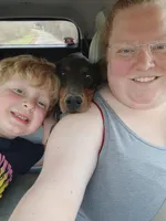 Lilly, a female Doberman Pinscher for sale in Villanow, GA – Photo 4 of 8