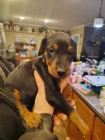 processed/324c5613-0084-4f5a-b2e5-5e6a9a22df11/listing/d0c00350-6ff7-4149-929e-5c32742c6817/9672cfc5-738c-4e49-b3bd-17d6476d4c39