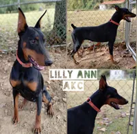 processed/324c5613-0084-4f5a-b2e5-5e6a9a22df11/listing/d0c00350-6ff7-4149-929e-5c32742c6817/dd46e882-436a-4db2-b88b-e87018a4a7a0