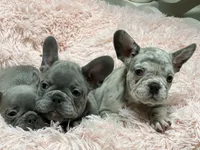 processed/324e79b9-b78f-4481-b77e-63fee3a96622/facility/0b3d3e46-de3a-428c-8ad6-cbc0a7d9fa4d