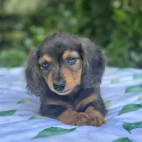 processed/324e79b9-b78f-4481-b77e-63fee3a96622/facility/0e7b73c9-fb88-4ec2-917e-5b0137adda65