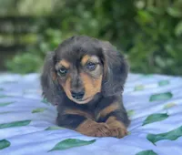 processed/324e79b9-b78f-4481-b77e-63fee3a96622/facility/0e7b73c9-fb88-4ec2-917e-5b0137adda65