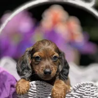 processed/324e79b9-b78f-4481-b77e-63fee3a96622/facility/1f49eaec-cf9c-4297-9955-51cd1631b456