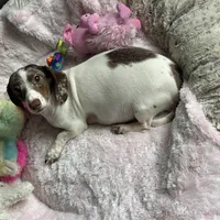 processed/324e79b9-b78f-4481-b77e-63fee3a96622/facility/273802e0-c679-4cd8-a2d0-12aafe22ba79