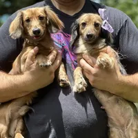 processed/324e79b9-b78f-4481-b77e-63fee3a96622/facility/5842081f-25ab-4f20-96a7-b19548209157