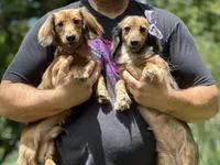 processed/324e79b9-b78f-4481-b77e-63fee3a96622/facility/5842081f-25ab-4f20-96a7-b19548209157