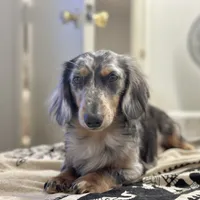 processed/324e79b9-b78f-4481-b77e-63fee3a96622/facility/5a914d39-6aeb-440b-aaee-8a4cf0c125b0