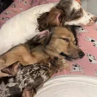 processed/324e79b9-b78f-4481-b77e-63fee3a96622/facility/5f00ed37-382f-4563-b538-982c81a10e56