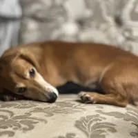 processed/324e79b9-b78f-4481-b77e-63fee3a96622/facility/9c4cd63c-b5d4-444e-96ba-5a53ff683623