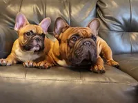 processed/324e79b9-b78f-4481-b77e-63fee3a96622/facility/a0f80804-4c74-4395-a2f1-dcb038394f02