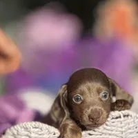 processed/324e79b9-b78f-4481-b77e-63fee3a96622/facility/b2d3e9c7-8376-4b51-8123-526826efd17e