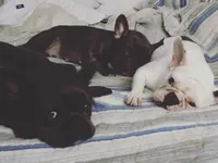 processed/324e79b9-b78f-4481-b77e-63fee3a96622/facility/b6a7dd38-b3f7-439c-a149-726e44acabe7