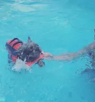 processed/324e79b9-b78f-4481-b77e-63fee3a96622/facility/bb47bd87-33b1-45bd-b325-dbdbfa5a7f53