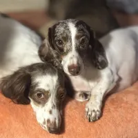 processed/324e79b9-b78f-4481-b77e-63fee3a96622/facility/d1d39b84-62fe-47e7-8fec-1ada749009d5