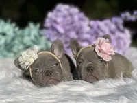 processed/324e79b9-b78f-4481-b77e-63fee3a96622/facility/f5c07cc8-2c0d-4c09-b2fb-57605415082e