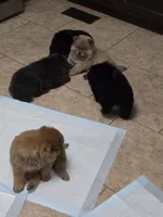 processed/32572ca5-1025-4c05-98fa-be0d80886f7a/listing/78dab1f6-ff23-43e1-b414-733eaf837a46/1000d6d8-1e01-4729-ac0e-5ad2e09c6a3c