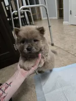 processed/32572ca5-1025-4c05-98fa-be0d80886f7a/listing/78dab1f6-ff23-43e1-b414-733eaf837a46/47fbf954-1164-4d71-a6a9-3ecde3789e08