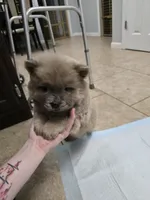 processed/32572ca5-1025-4c05-98fa-be0d80886f7a/listing/78dab1f6-ff23-43e1-b414-733eaf837a46/6445f490-d70f-45e2-9c7b-0500bafe5b1e