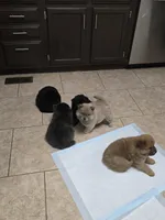 processed/32572ca5-1025-4c05-98fa-be0d80886f7a/listing/78dab1f6-ff23-43e1-b414-733eaf837a46/aae3d0e7-5b82-4dfd-b79a-876838b025ef