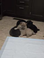 processed/32572ca5-1025-4c05-98fa-be0d80886f7a/listing/78dab1f6-ff23-43e1-b414-733eaf837a46/c258e757-5754-479a-8363-e6d0e4edf9ff