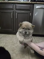 processed/32572ca5-1025-4c05-98fa-be0d80886f7a/listing/78dab1f6-ff23-43e1-b414-733eaf837a46/d52c36b7-29db-4afc-8c12-d5c41a236e4d