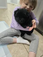 processed/32572ca5-1025-4c05-98fa-be0d80886f7a/listing/95d8064e-2d3c-41ec-b58d-a58263bb7a8f/06d002c0-81e1-425f-a6a5-c88d0c8398b4