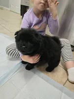 processed/32572ca5-1025-4c05-98fa-be0d80886f7a/listing/95d8064e-2d3c-41ec-b58d-a58263bb7a8f/1487cff5-4a2f-4ef9-b0ee-77776d775b0f