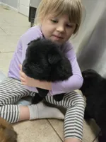 processed/32572ca5-1025-4c05-98fa-be0d80886f7a/listing/95d8064e-2d3c-41ec-b58d-a58263bb7a8f/1ee4630a-aa5b-499f-bf1a-9b1b0c4a6db4