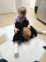 processed/32572ca5-1025-4c05-98fa-be0d80886f7a/listing/95d8064e-2d3c-41ec-b58d-a58263bb7a8f/9592a65d-92b6-4614-b690-c3f75a05f743