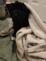 processed/32572ca5-1025-4c05-98fa-be0d80886f7a/listing/95d8064e-2d3c-41ec-b58d-a58263bb7a8f/d5aabea8-ec1c-4d72-879c-1905aea8e82e