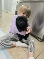 processed/32572ca5-1025-4c05-98fa-be0d80886f7a/listing/95d8064e-2d3c-41ec-b58d-a58263bb7a8f/effdd716-f03c-4b71-9547-fc955423f6b4