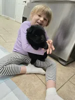 processed/32572ca5-1025-4c05-98fa-be0d80886f7a/listing/95d8064e-2d3c-41ec-b58d-a58263bb7a8f/f2e454ff-4698-4963-9c53-13c86e93b437