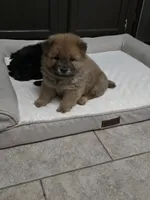 processed/32572ca5-1025-4c05-98fa-be0d80886f7a/listing/ec0cb5b8-22ff-40b5-8cb3-94b9de965a59/15df096e-6d87-4e29-9e77-80ad3ce30716