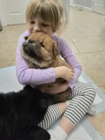 processed/32572ca5-1025-4c05-98fa-be0d80886f7a/listing/ec0cb5b8-22ff-40b5-8cb3-94b9de965a59/5c5fff0c-faf4-403b-ab37-48a31a183f2c