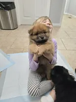 processed/32572ca5-1025-4c05-98fa-be0d80886f7a/listing/ec0cb5b8-22ff-40b5-8cb3-94b9de965a59/81470afa-1bac-4447-925f-e1c6dbd1e58e