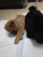 processed/32572ca5-1025-4c05-98fa-be0d80886f7a/listing/ec0cb5b8-22ff-40b5-8cb3-94b9de965a59/af9aef2d-0648-4f1f-8278-e05b84c7779d