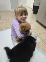 processed/32572ca5-1025-4c05-98fa-be0d80886f7a/listing/ec0cb5b8-22ff-40b5-8cb3-94b9de965a59/c5b16e4c-bffd-4f40-85f3-eb5bc0210f5e