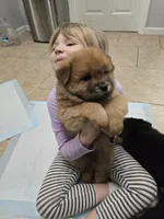 processed/32572ca5-1025-4c05-98fa-be0d80886f7a/listing/ec0cb5b8-22ff-40b5-8cb3-94b9de965a59/c6c003d4-87f1-4eec-b9d3-a9d7d6e31f4e