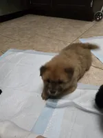 processed/32572ca5-1025-4c05-98fa-be0d80886f7a/listing/ec0cb5b8-22ff-40b5-8cb3-94b9de965a59/e34dd62e-0aad-48fe-b41b-111f002e6c19