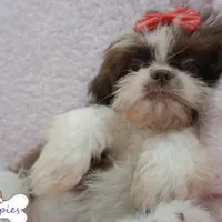 processed/3260719a-516b-43ca-a840-fda6fb5abd39/facility/09b45ec4-ab7e-4902-9ff3-f29dbb614249