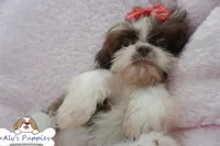 processed/3260719a-516b-43ca-a840-fda6fb5abd39/facility/09b45ec4-ab7e-4902-9ff3-f29dbb614249