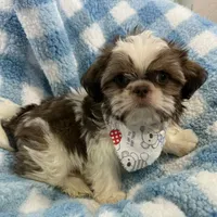 processed/3260719a-516b-43ca-a840-fda6fb5abd39/facility/1241a89a-ff21-4122-8391-3259e1fc848b