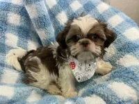 processed/3260719a-516b-43ca-a840-fda6fb5abd39/facility/1241a89a-ff21-4122-8391-3259e1fc848b