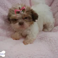 processed/3260719a-516b-43ca-a840-fda6fb5abd39/facility/372aca80-7303-4727-9db8-1524d289210a