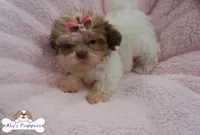 processed/3260719a-516b-43ca-a840-fda6fb5abd39/facility/372aca80-7303-4727-9db8-1524d289210a