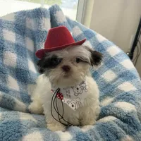 processed/3260719a-516b-43ca-a840-fda6fb5abd39/facility/69d61670-b5ae-4f56-aaf3-89f92ec475bd