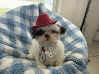 processed/3260719a-516b-43ca-a840-fda6fb5abd39/facility/69d61670-b5ae-4f56-aaf3-89f92ec475bd