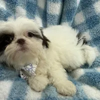 processed/3260719a-516b-43ca-a840-fda6fb5abd39/facility/6a0899b0-2c49-44e9-9a91-2d63d6910436