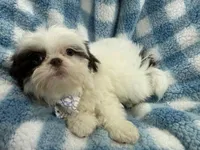 processed/3260719a-516b-43ca-a840-fda6fb5abd39/facility/6a0899b0-2c49-44e9-9a91-2d63d6910436