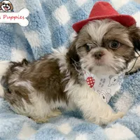 processed/3260719a-516b-43ca-a840-fda6fb5abd39/facility/a428c5d2-eb0f-4ba4-8353-de0e8e8e0728